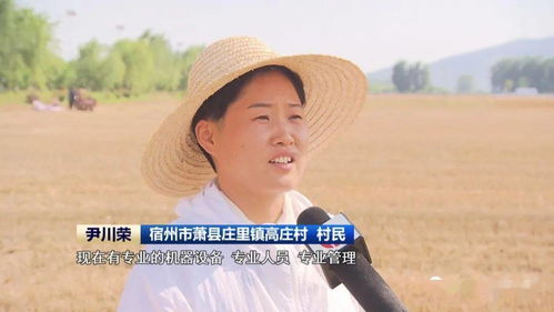 安徽 农机社会化服务助力夏收提速提质，技术推广是关键